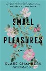 Clare Chambers - Small Pleasures