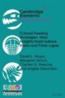 Charles G Messing, Charles G. Messing, David Meyer, David (University of Cincinnati) Veitch Meyer, MEYER DAVID, Angela Stevenson... - Crinoid Feeding Strategies: New Insights From Subsea Video and Time