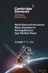 Joseph T C Liu, Joseph T. C. Liu, Joseph T. C. (Brown University Liu, LIU JOSEPH T. C. - Mach Wave and Acoustical Wave Structure in Nonequilibrium Gas