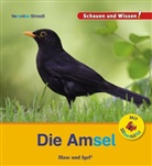 Veronika Straaß - Die Amsel / Sonderausgabe mit Silbenhilfe