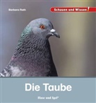 Barbara Rath - Die Taube