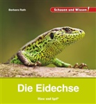 Barbara Rath - Die Eidechse