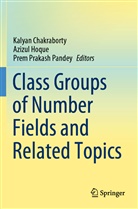 Kalyan Chakraborty, Azizu Hoque, Azizul Hoque, Prem Prakash Pandey, Prem Prakash Pandey - Class Groups of Number Fields and Related Topics