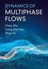 Liang-Shih Fan, Liang-Shih (Ohio State University) Fan, Fan Liang-Shih, Zhao Yu, Chao Zhu, Chao (New Jersey Institute of Technology) Zhu... - Dynamics of Multiphase Flows