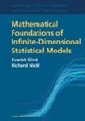 Evarist Gine, Evarist Nickl Gine, Evarist Giné, Richard Nickl, Richard (University of Cambridge) Nickl, Nickl Richard - Mathematical Foundations of Infinite-Dimensional Statistical Models