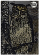 Flame Tree Publishing - Grimm''s Fairy Tales: Winking Owl (Foiled Blank Journal)