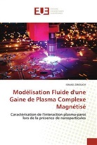 Ismael Driouch - Modélisation Fluide d'une Gaine de Plasma Complexe Magnétisé