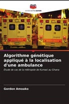 Gordon Amoako - Algorithme génétique appliqué à la localisation d'une ambulance