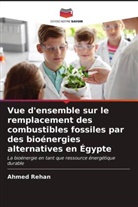Ahmed Rehan - Vue d'ensemble sur le remplacement des combustibles fossiles par des bioénergies alternatives en Égypte