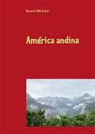 Bernardo Tello Tueros - América andina