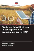 Martín A. Amaro, José A. Ladino - Étude de faisabilité pour la conception d'un programme sur le MAP