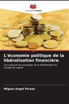Miguel Angel Picazo - L'économie politique de la libéralisation financière