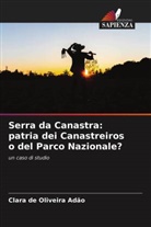 Clara de Oliveira Adão - Serra da Canastra: patria dei Canastreiros o del Parco Nazionale?