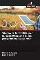 Martín A. Amaro, José A. Ladino - Studio di fattibilità per la progettazione di un programma sulla MAP