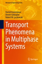 Hami Arastoopour, Hamid Arastoopour, Dimitr Gidaspow, Dimitri Gidaspow, R Lyczkowski, Robert W. Lyczkowski - Transport Phenomena in Multiphase Systems