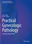 Hui, Hui, Pei Hui, Jian-Ju Wei, Jian-Jun Wei - Practical Gynecologic Pathology