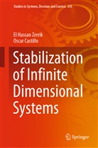 Oscar Castillo, El Hassa Zerrik, El Hassan Zerrik - Stabilization of Infinite Dimensional Systems