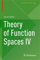 Hans Triebel - Theory of Function Spaces IV