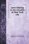 Arthur Barnett Spingarn - Laws relating to sex morality in New York city