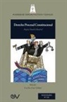 Rafael Badell Madrid - DERECHO PROCESAL CONSTITUCIONAL