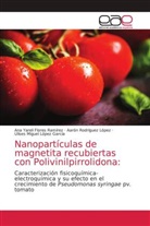 Ana Yareli Flores Ramírez, Ulises Miguel López García, Aarón Rodríguez López - Nanopartículas de magnetita recubiertas con Polivinilpirrolidona: