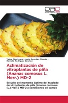 Justo González Olmedo, Yaima Pino Legrat, Romelio Rodríguez Sánchez - Aclimatización de vitroplantas de piña (Ananas comosus L. Merr.) MD-2