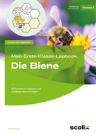 Petra Mönning - Mein Erste-Klasse-Lapbook: Die Biene