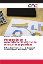 Esmeralda Estrada Calderón - Percepción de la mercadotecnia digital en instituciones públicas