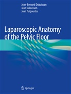 Jea Dubuisson, Jean Dubuisson, Jean-Bernar Dubuisson, Jean-Bernard Dubuisson, Puigventos, Juan Puigventos - Laparoscopic Anatomy of the Pelvic Floor