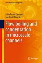 Fabi Kanizawa, Fabio Kanizawa, Fabio Toshi Kanizawa, Fabio Toshio Kanizawa, Gherhard Ribatski, Gherhardt Ribatski - Flow boiling and condensation in microscale channels