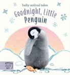 Amanda Wood, Vicki Chu, Vikki Chu, Bec Winnel - Goodnight, Little Penguin