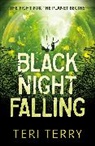 TERI TERRY, Teri Terry, Terry Teri - Black Night Falling