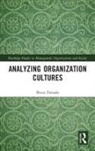 Bruce Fortado, Bruce Fortado - Analyzing Organization Cultures