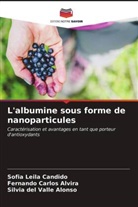 Silvia del Valle Alonso, Fernando Carlos Alvira, Sofia Leila Candido - L'albumine sous forme de nanoparticules