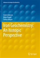 Bria Beard, Brian Beard, Clar Johnson, Clark Johnson, Stefan Weyer - Iron Geochemistry: An Isotopic Perspective
