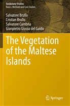 Cristia Brullo, Cristian Brullo, Salvator Brullo, Salvatore Brullo, Salvat Cambria, Salvatore Cambria... - The Vegetation of the Maltese Islands