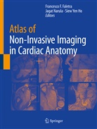 Francesco F. Faletra, Siew Yen Ho, Jaga Narula, Jagat Narula, Siew Yen Ho - Atlas of Non-Invasive Imaging in Cardiac Anatomy
