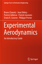 Brun Chanetz, Bruno Chanetz, Jea Délery, Jean Délery, Patrick Gilliéron, Patrick et Gilliéron... - Experimental Aerodynamics