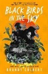 Brandy Colbert - Black Birds in the Sky