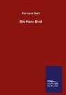 Hermann Bahr - Die Hexe Drut