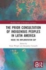 Claire (Universidad De Monterrey Wright, Claire Tomaselli Wright, Alexandra Tomaselli, Claire Wright, Wright Claire - Prior Consultation of Indigenous Peoples in Latin America