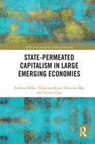 Simone Claar, Simone (Kassel University Claar, Christian May, Christian (Goethe University Frankfurt May, Andreas Noelke, Andreas Ten Brink Noelke... - State-Permeated Capitalism in Large Emerging Economies
