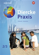 Andreas Bremm, Erik Elvenich, Peter Gaffga, Guido Hoffmeister, Norma Kreuzberger, Wolfgang Latz... - Diercke Praxis SI Arbeits- und Lernbuch - Ausgabe 2019 für Gymnasien in Nordrhein-Westfalen G9. Bd.2/3