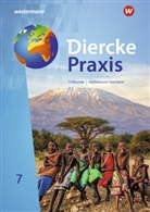 Ruwen Bubel, Michael Ernst, Ursula (Dr.) Gross, Chris Haupenthal, Thomas Krämer - Diercke Praxis SI Erdkunde - Arbeits- und Lernbuch