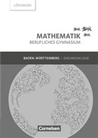 Frédériqu Chauffer, Frédérique Chauffer, Ott Feszler, Otto Feszler, Rüdiger Hölzel, Michael Knobloch... - Mathematik - Berufliches Gymnasium - Baden-Württemberg - Eingangsklasse Lösungen zum Schülerbuch