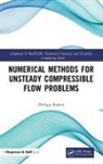 Philipp Birken, Philipp Birken - Numerical Methods for Unsteady Compressible Flow Problems