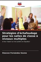 Steeven Fernández Sesme - Stratégies d'échafaudage pour les salles de classe à niveaux multiples