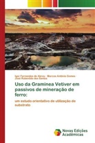 Marcos Antônio Gomes, Igor Fernandes de Abreu, José Rubenildo dos Santos - Uso da Gramínea Vetiver em passivos de mineração de ferro: