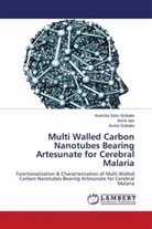 Arvind Gulbake, Aviral Jain, Anamika Sahu Gulbake - Multi Walled Carbon Nanotubes Bearing Artesunate for Cerebral Malaria