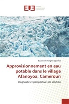 Baudouin Dongmo Djiontsa - Approvisionnement en eau potable dans le village Afanoyoa, Cameroun